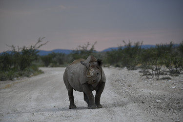 Similar image 22209319