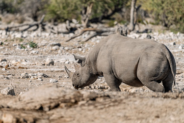 Similar image 22209321