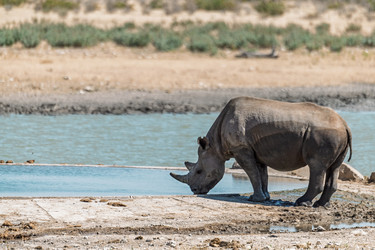 Similar image 22209322