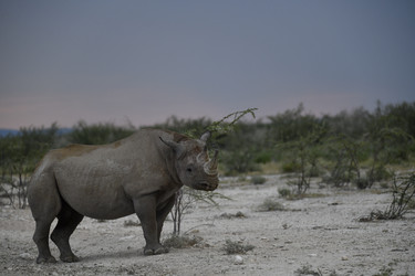 Similar image 22209323