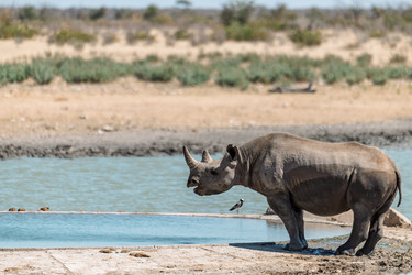 Similar image 22209324