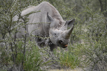 Similar image 22209325