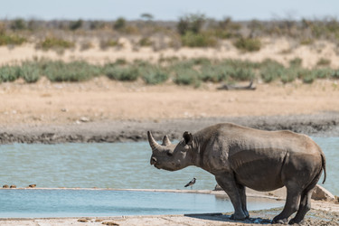 Similar image 22209326