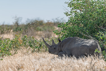 Similar image 22209328