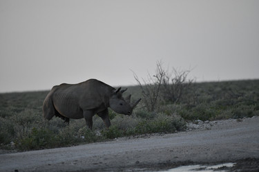 Similar image 22209329