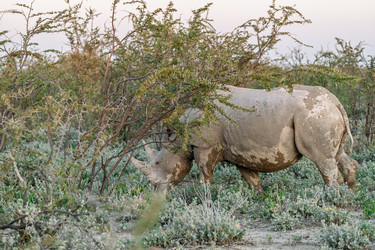 Similar image 22209330