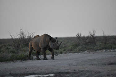 Similar image 22209331