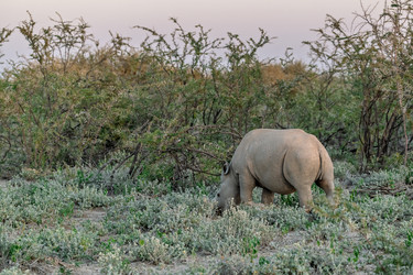 Similar image 22209332