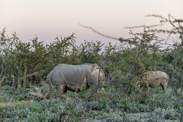 Similar image 22209333