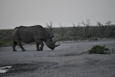 Similar image 22209334