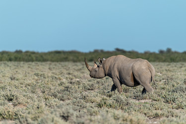 Similar image 22209335