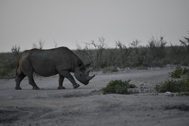 Similar image 22209336