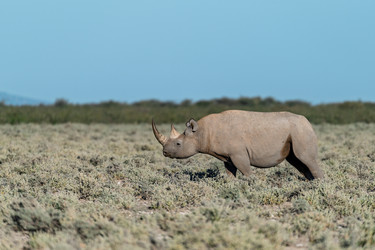 Similar image 22209337