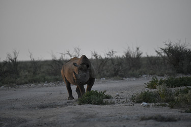 Similar image 22209338