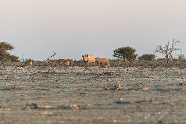 Similar image 22209339