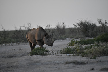 Similar image 22209340