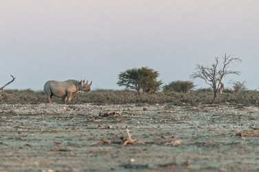 Similar image 22209341