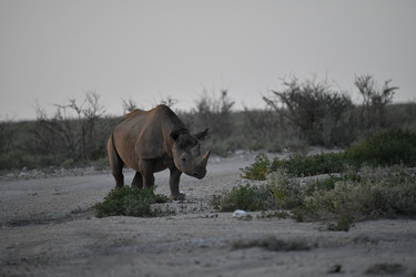 Similar image 22209342