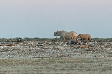 Similar image 22209343