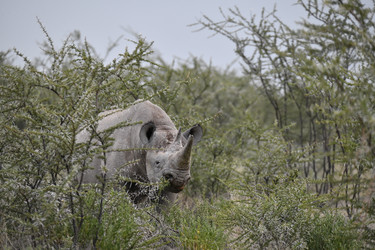 Similar image 22209346