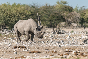 Similar image 22209347