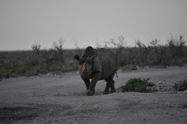 Similar image 22209348