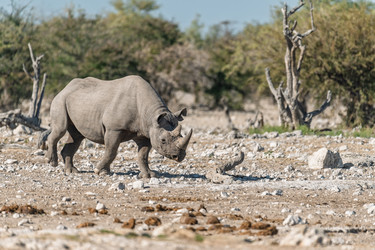 Similar image 22209349