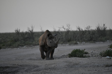 Similar image 22209351