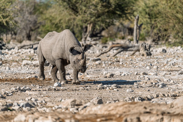 Similar image 22209352