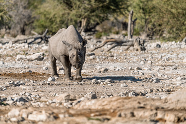 Similar image 22209353