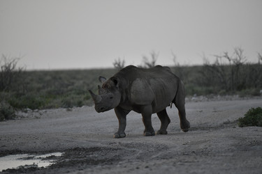 Similar image 22209354