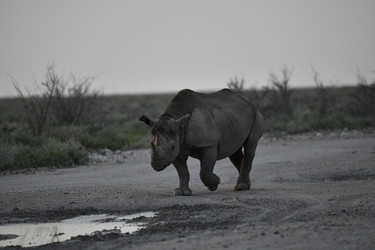 Similar image 22209356