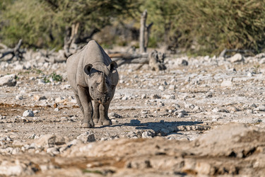 Similar image 22209357