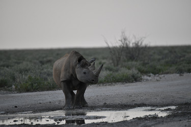 Similar image 22209358