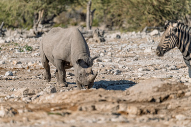 Similar image 22209359