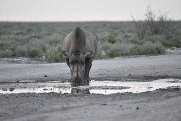 Similar image 22209360