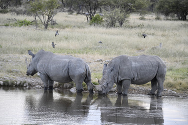 Similar image 22209364