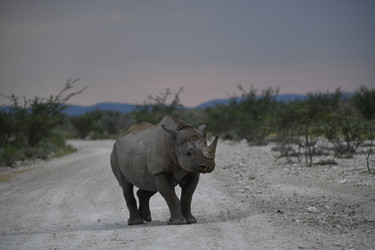 Similar image 22209365