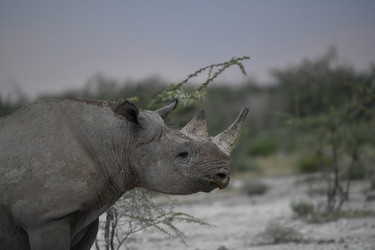 Similar image 22209366