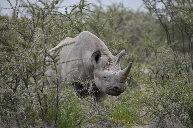 Similar image 22209367