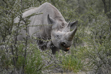 Similar image 22209368