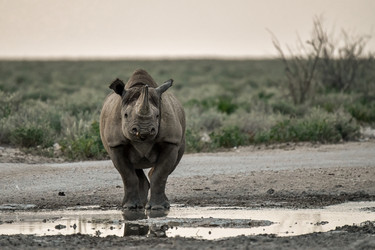 Similar image 22209369