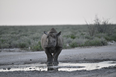 Similar image 22209370