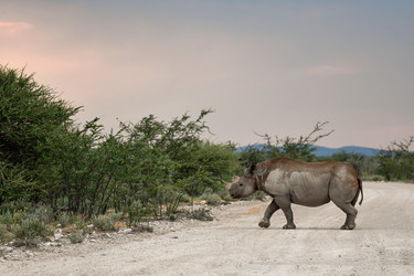 Similar image 22209371