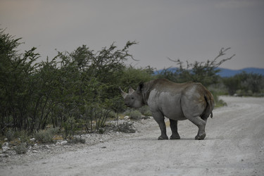 Similar image 22209372