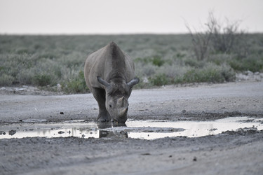 Similar image 22209373