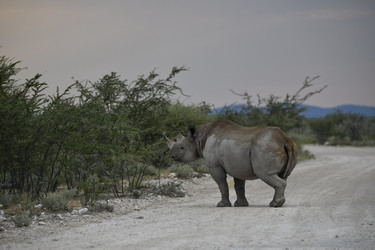 Similar image 22209374