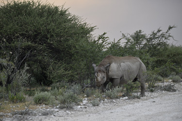 Similar image 22209375