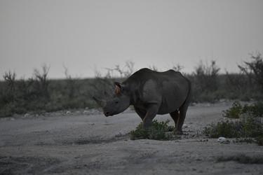 Similar image 22209376