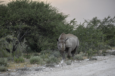 Similar image 22209377